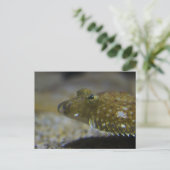 Vlekken Briefkaart (Staand voorkant)