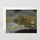 Vlekken Briefkaart (Voorkant / Achterkant)