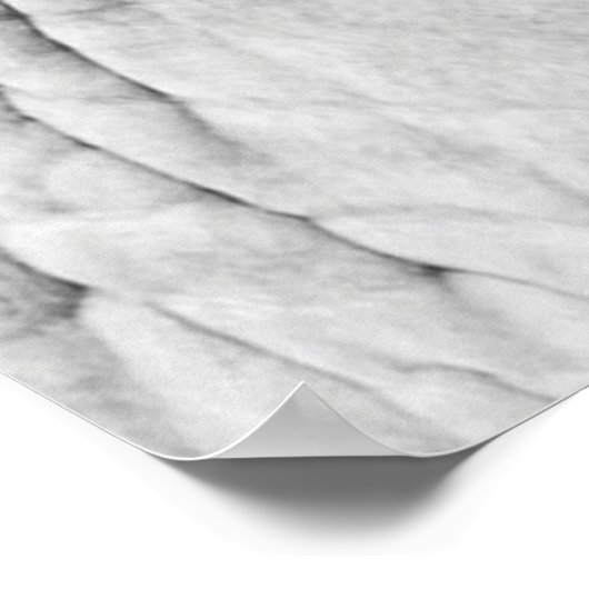 Vlekken van wilde dieren poster (Hoek)