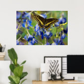 Vlekkenparelmoervlinder | Euphydryas Phaeton Poster (Thuiskantoor)