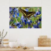 Vlekkenparelmoervlinder | Euphydryas Phaeton Poster (Keuken)