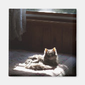 Vlekmagneet Magneet (Voorkant)