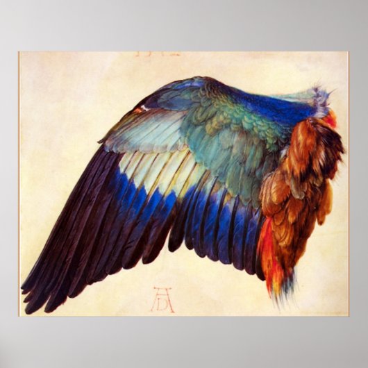 VLEUGEL VAN EEN EUROPESE SCHARE POSTER (Voorkant)