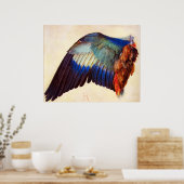 VLEUGEL VAN EEN EUROPESE SCHARE POSTER (Keuken)