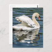 vleugels briefkaart (Voorkant / Achterkant)