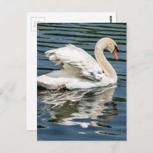 vleugels briefkaart (Voorkant / Achterkant)