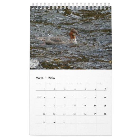 Vleugels en veren kalender (Mar 2026)
