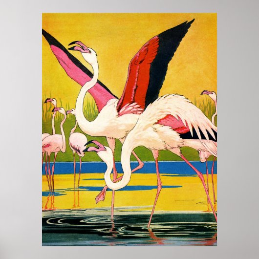 vleugels poster (Voorkant)