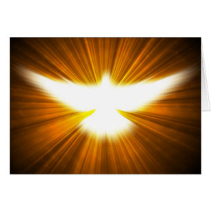 vleugels uit de hemel