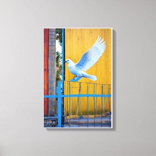 Vleugels van Vrede Canvas Afdruk (Voorkant)