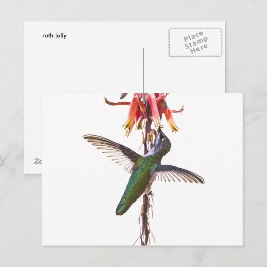 vleugelvleugels briefkaart (Voorkant / Achterkant)