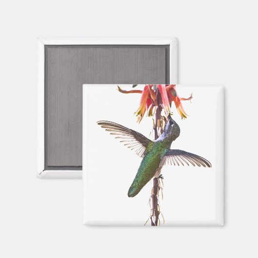 vleugelvleugels magneet (Voorkant / Achterkant)