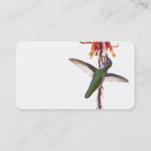 vleugelvleugels visitekaartje (Achterkant)