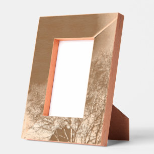 vleugelvliegtuigen en zwarte boom gegraveerde lijstjes