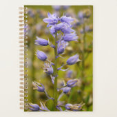 Vleuren Planner (Voorkant)