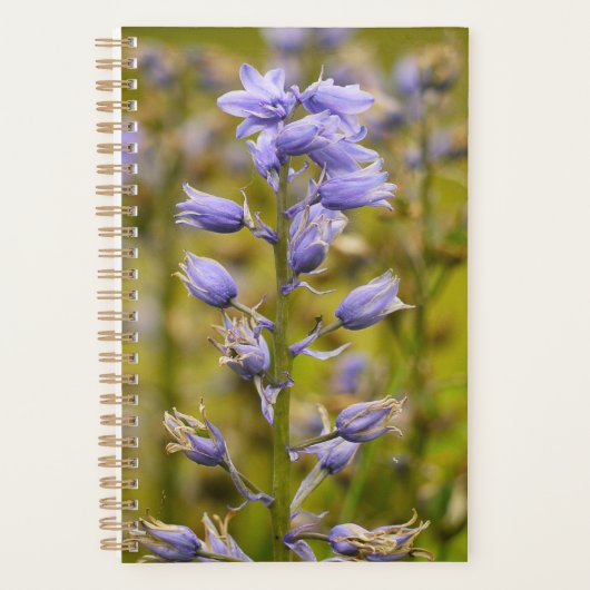 Vleuren Planner (Voorkant)