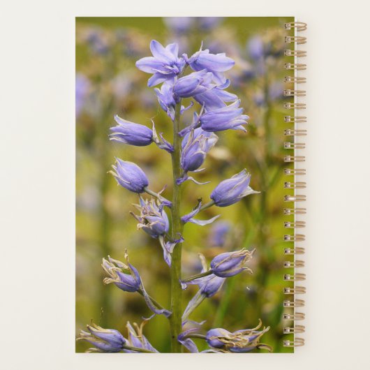 Vleuren Planner (Achterkant)