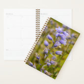 Vleuren Planner (Display)