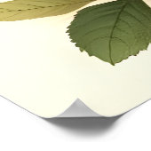  vlieg Agaric rode en witte champignons bloemenpra Poster (Hoek)