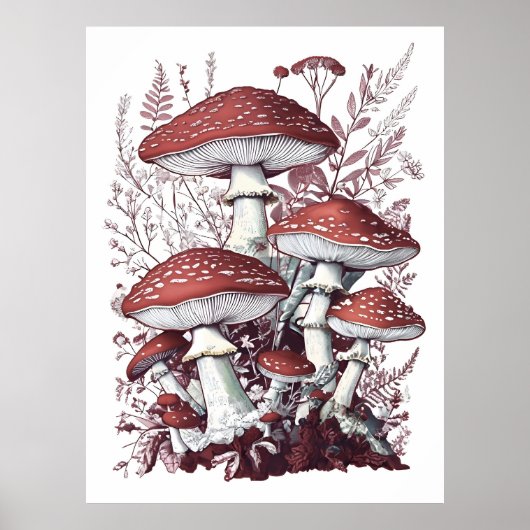  vlieg Agaric rode en witte champignons bloemenpra Poster (Voorkant)