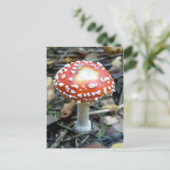 Vlieg Agarisch {Amanita muscaria} Briefkaart (Staand voorkant)