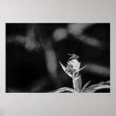 Vlieg alleen goud poster (Voorkant)