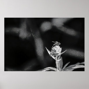 Vlieg alleen goud poster