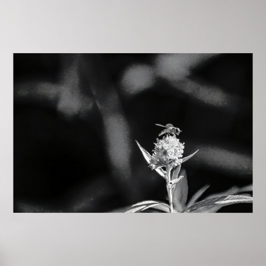 Vlieg alleen goud poster (Voorkant)