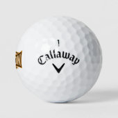 Vlieg als een valk sepia golfballen (Logo)