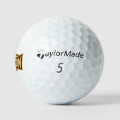 Vlieg als een valk sepia golfballen (Logo)