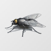 Vlieg Buddy schaduw see-thru venster cling voorkan Raamsticker (Vel)