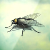 Vlieg Buddy schaduw see-thru venster cling voorkan Raamsticker (Vel 3)