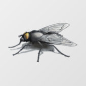 Vlieg Buddy schaduw see-thru venster cling voorkan Raamsticker (Vel)