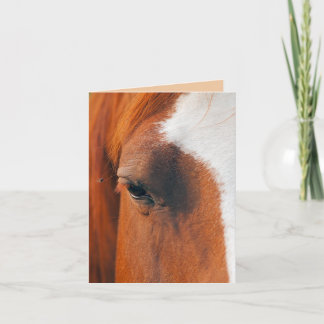 Vlieg op het oog van een paard (humor) kaart