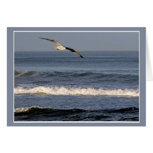 Vlieg over OBX (Voorkant Horizontaal)