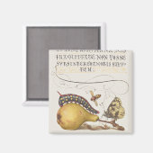 Vlieg, rups, peer en duizendpoot vanaf Mira Magneet (Voorkant / Achterkant)