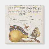 Vlieg, rups, peer en duizendpoot vanaf Mira Magneet (Voorkant)