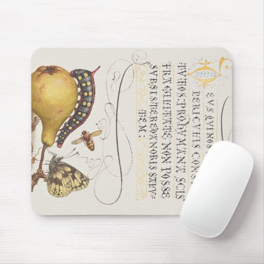 Vlieg, rups, peer en duizendpoot vanaf Mira Muismat (Met muis)