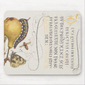 Vlieg, rups, peer en duizendpoot vanaf Mira Muismat (Voorkant)