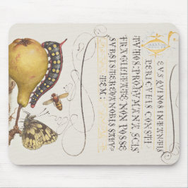 Vlieg, rups, peer en duizendpoot vanaf Mira Muismat