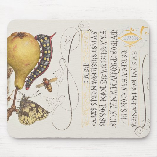 Vlieg, rups, peer en duizendpoot vanaf Mira Muismat (Voorkant)