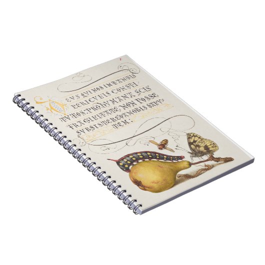 Vlieg, rups, peer en duizendpoot vanaf Mira Notitieboek (Rechterzijde)