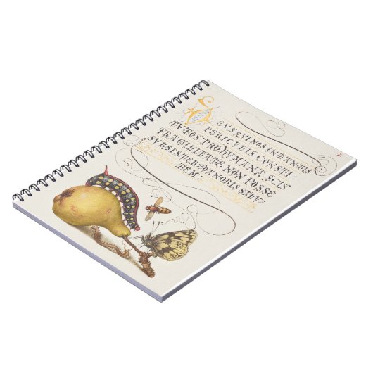 Vlieg, rups, peer en duizendpoot vanaf Mira Notitieboek (Linkerzijde)