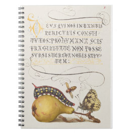 Vlieg, rups, peer en duizendpoot vanaf Mira Notitieboek