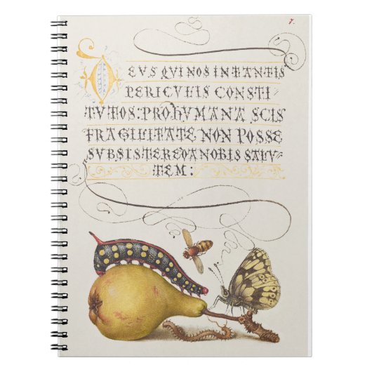 Vlieg, rups, peer en duizendpoot vanaf Mira Notitieboek (Voorkant)