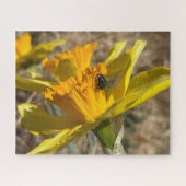 Vlieg rustend op narcis close-up foto legpuzzel (Horizontaal)