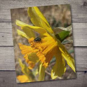 Vlieg rustend op narcis close-up foto legpuzzel