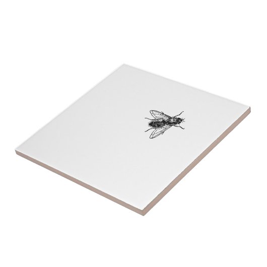 vlieg tegeltje (Zijkant)