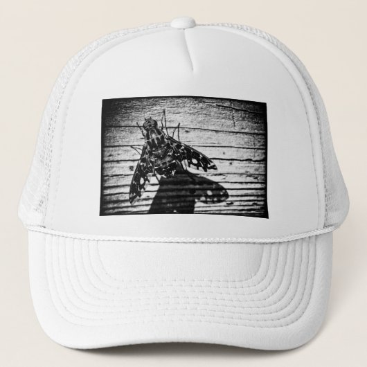 vlieg terug trucker pet (Voorkant)