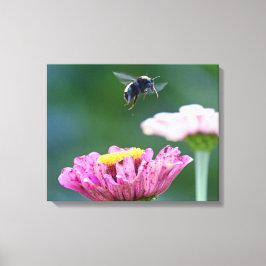 Vlieg van de Bumblebee Canvas Afdruk